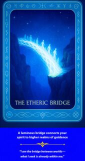 card-6