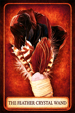 card-13